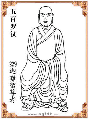 ����_�h-229���y������