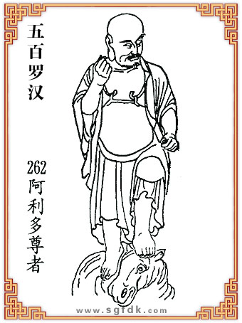 ����_�h-262����������